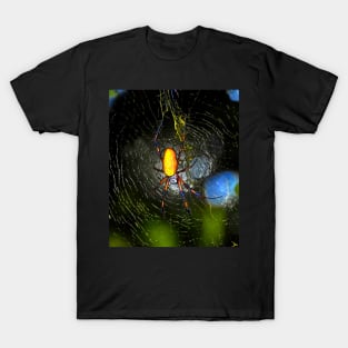 Golden Orb Spider in web T-Shirt